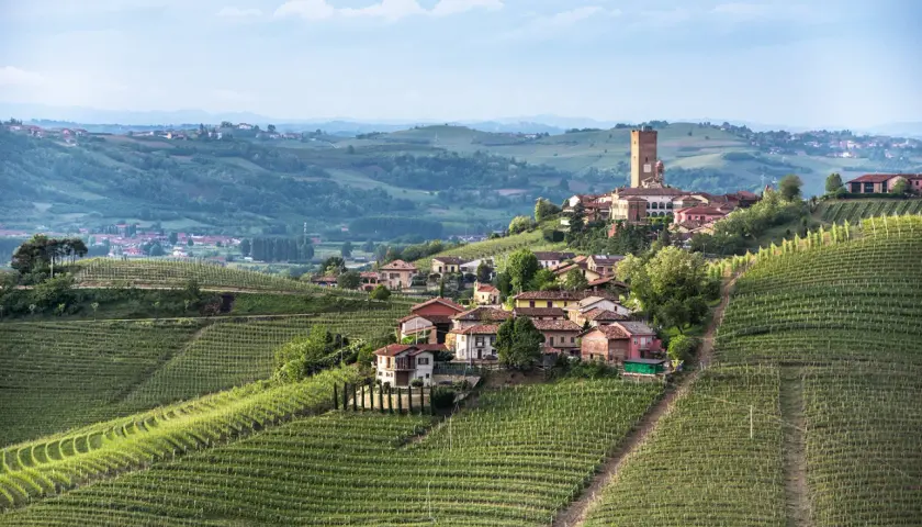 Weinberge umgeben das malerische Dorf Barbaresco in Italien. Ein hoher Turm ragt über die Dächer.