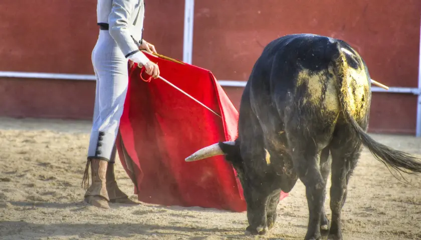 Un torero con traje de luces y capote rojo se enfrenta a un toro negro en la arena. La cuadrilla de toreros se prepara para el siguiente lance.