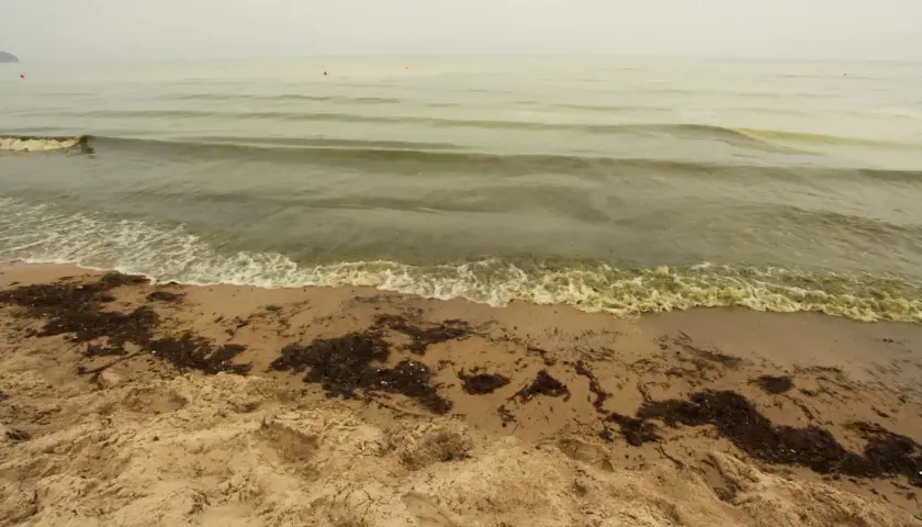 Jakie kąpieliska zamknięte nad Bałtykiem? Sprawdź bezpieczne miejsca