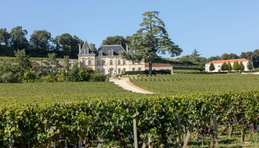 Château majestueux entouré de vignobles verdoyants, idéal pour le tourisme viticole. Un grand cèdre domine le paysage.