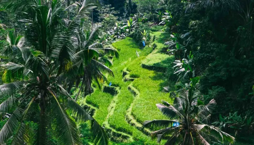 Lazy Z Spa Ubud: Polska oaza relaksu na Bali czy warto?