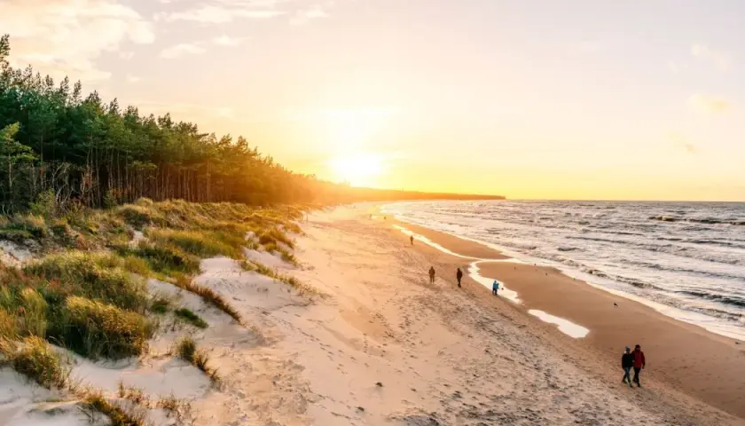 Zachód słońca nad morzem, z piaszczystą plażą, wydmami porośniętymi trawą i lasem sosnowym. Spacerujący ludzie cieszą się pięknem przyrody.