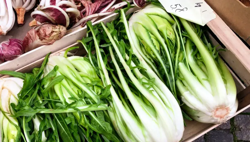 Catalogna verdura fresca e croccante, con radicchio viola in primo piano. Un cesto di bontà salutare.