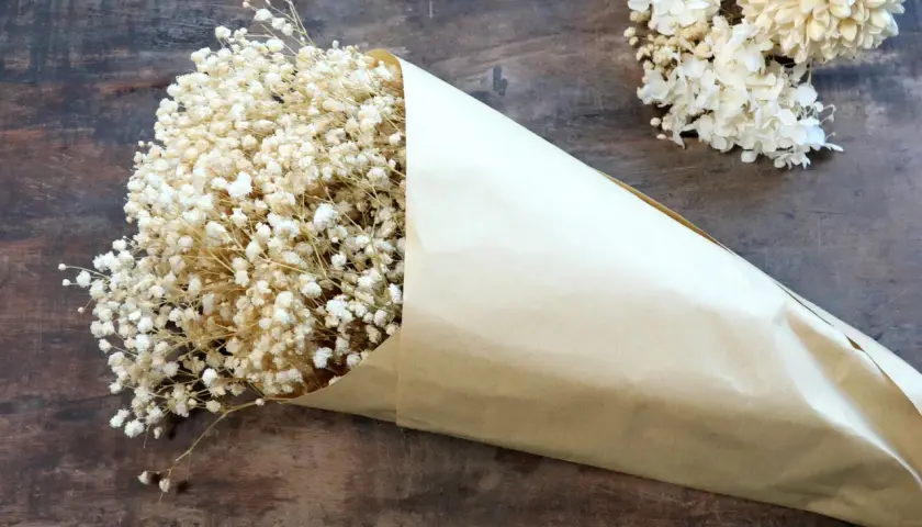 Un bouquet de gypsophile séché, emballé dans du papier kraft, prêt pour un projet de bricolage. Comment faire sécher du gypsophile.