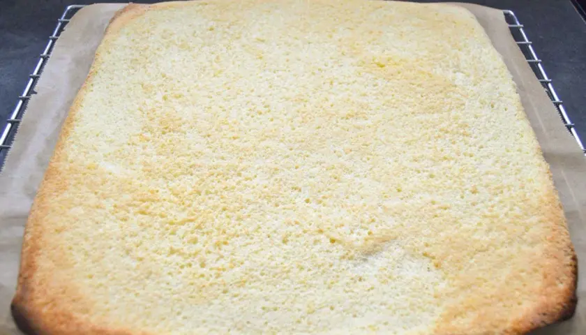 Frisch gebackener, luftiger Biskuitboden für ein leckeres Rezept. Perfekt für Torten und Rollkuchen.