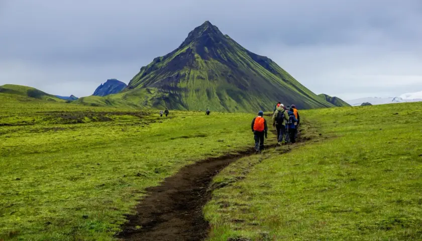 Grupa turystów wyrusza na islandia trekking ścieżką przez zielone, porośnięte mchem wzgórza, w tle majestatyczna góra.