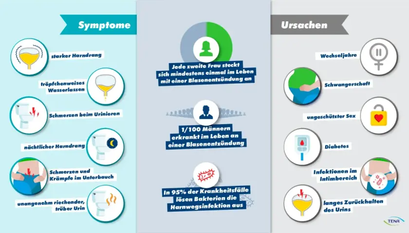 Symptome einer Blasenentzündung: starker Harndrang, tröpfchenweises Wasserlassen, Schmerzen beim Urinieren, nächtlicher Harndrang, Krämpfe im Unterbauch, unangenehmer Urin.