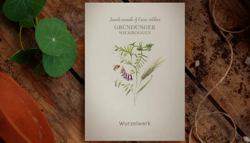 Eine botanische Illustration zeigt eine Biene, die eine lila Blüte der Wicke umkreist, neben einem Grashalm. Der Titel "Gründünger Wickroggen" deutet auf die Verwendung als Bodendecker hin.