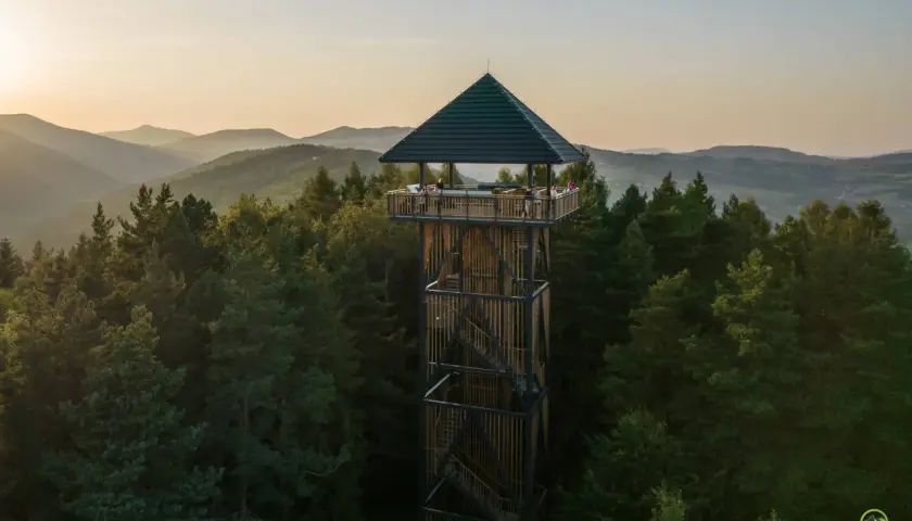 Wieża widokowa w otoczeniu lasu, z której rozpościera się panorama na beskid wyspowy szczyty.
