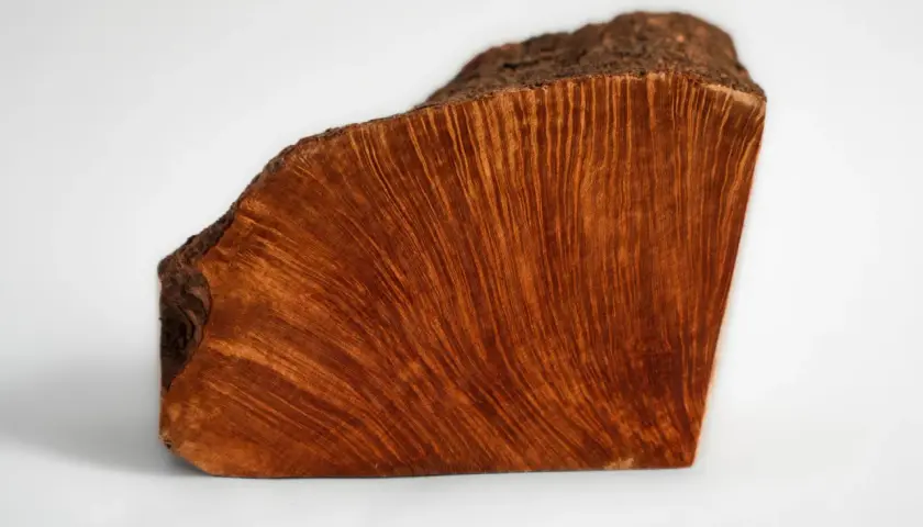 Un pezzo di legno con venature ondulate e un colore caldo, che evoca il significato profondo della radica, simbolo di forza e resilienza.