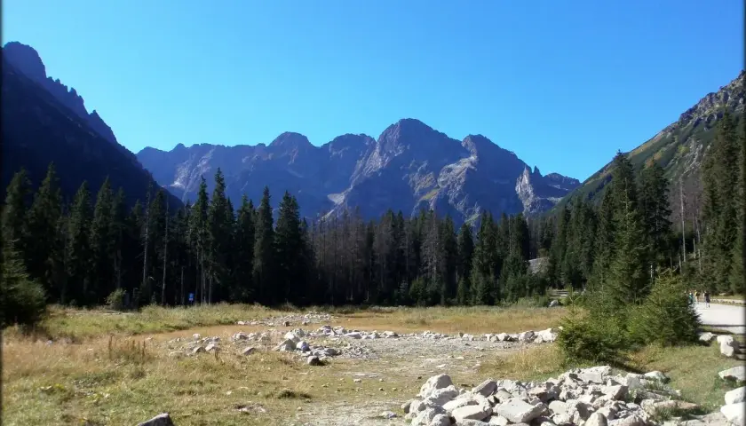 Widok na Tatry, szczyty Rysy 2499 czy 2503 w oddali, las i kamienista dolina.