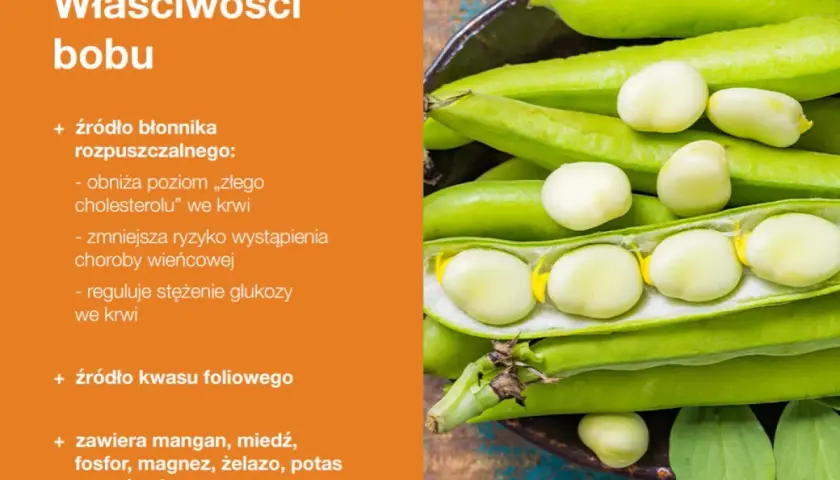 Bób – bogactwo błonnika, kwasu foliowego i minerałów. Jego wartości odżywcze wspierają serce i regulują poziom cukru we krwi.