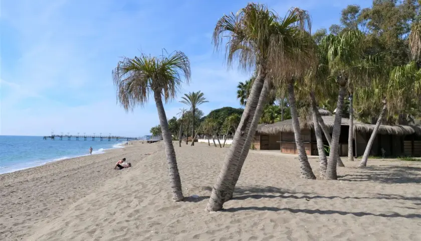 Plaża w Marbelli z palmami, piaskiem i budynkiem z dachem krytym strzechą. W oddali widać molo i błękitne morze.