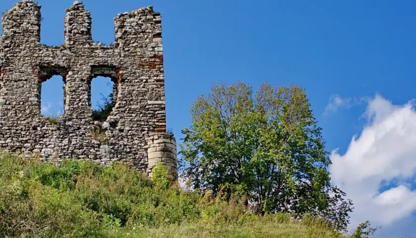 Ruiny zamku Rabsztyn na tle błękitnego nieba i zielonego drzewa.