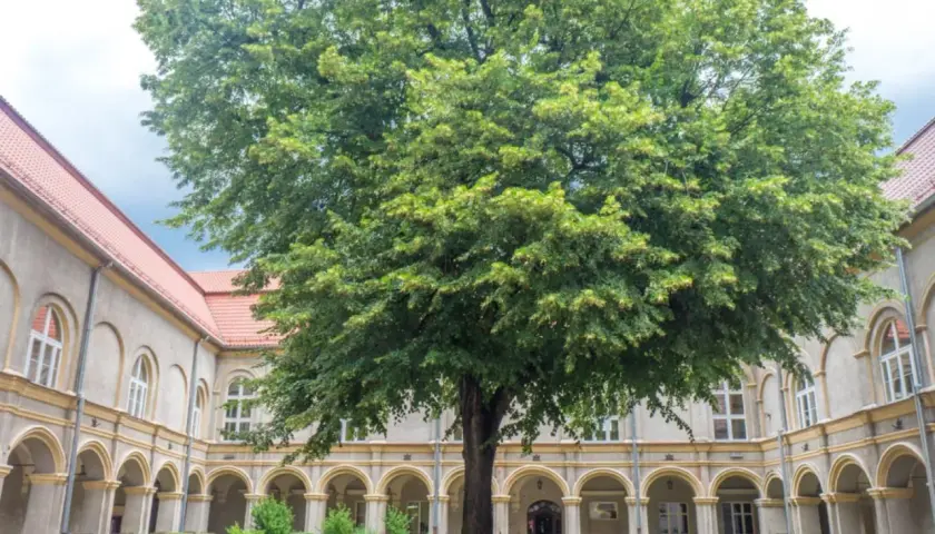 Najciekawsze atrakcje w Krapkowicach, które musisz zobaczyć