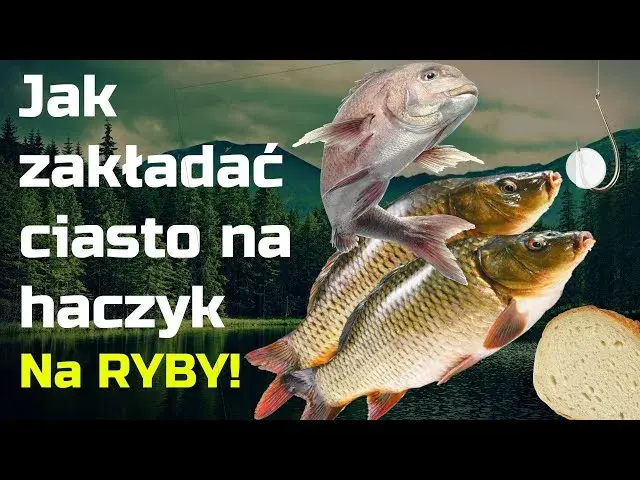 Jak zakładać ciasto na haczyk? Koniec problemów ze spadającą przynętą!