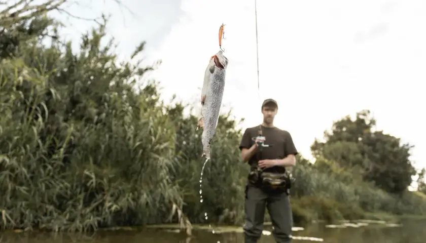 Najlepsze przynęty na metodę, które zwiększą Twoje szanse na sukces w wędkarstwie