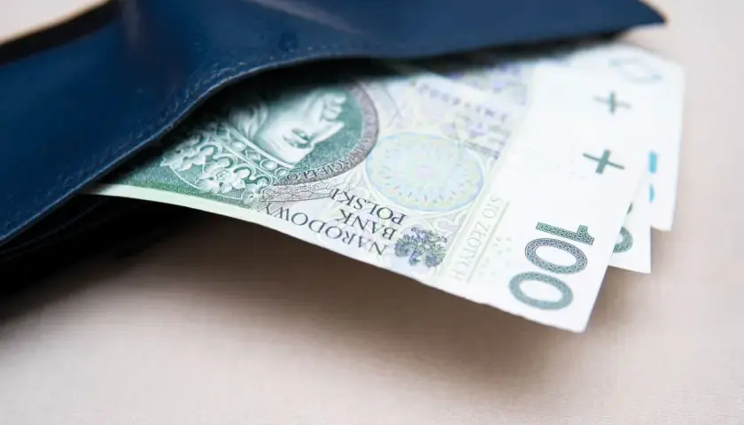 Portfel z banknotami 100 zł. Symbol niepełnosprawności 07-s nie jest widoczny.