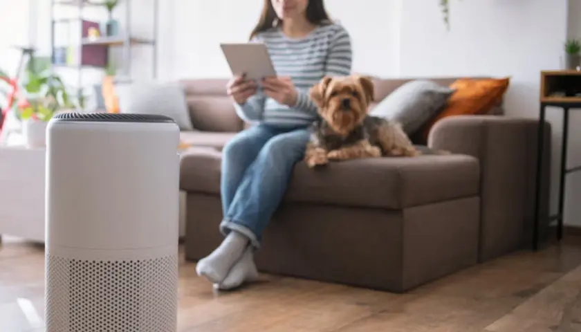 Purificador de aire en primer plano, mientras una mujer y su perro disfrutan del hogar, demostrando los beneficios de un purificador de aire para un ambiente más saludable.