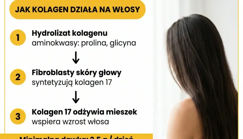 Jak kolagen do picia efektywnie działa na włosy: hydrolizat kolagenu odżywia mieszki włosowe, wspierając ich wzrost. Minimalna dawka 2,5 g/dzień.