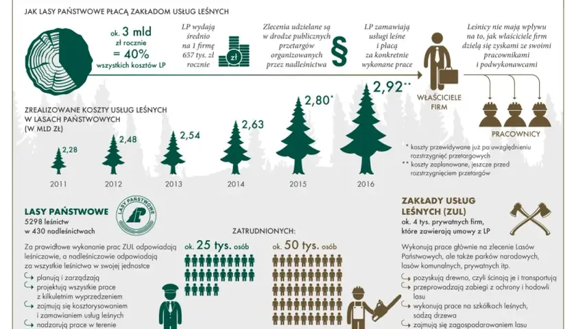 Infografika o rynku usług leśnych: koszty, zatrudnienie i zarobki.