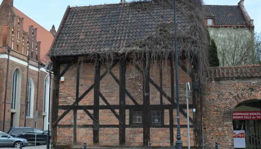 Stare kamienice w Gdańsku, z charakterystyczną cegłą i drewnianą konstrukcją, porośnięte bluszczem.