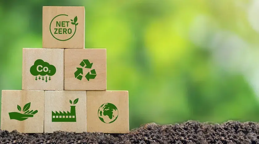 Recykling organiczny: jak przetwarzać odpady i chronić środowisko w prosty sposób