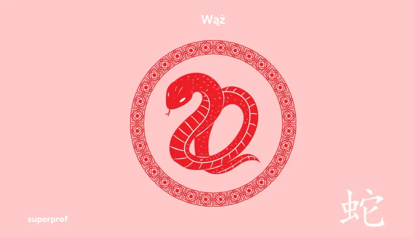 Chiński znak zodiaku Wąż. Dowiedz się, jakie są znaki zodiaku od kiedy do kiedy i kiedy wypada rok Węża.