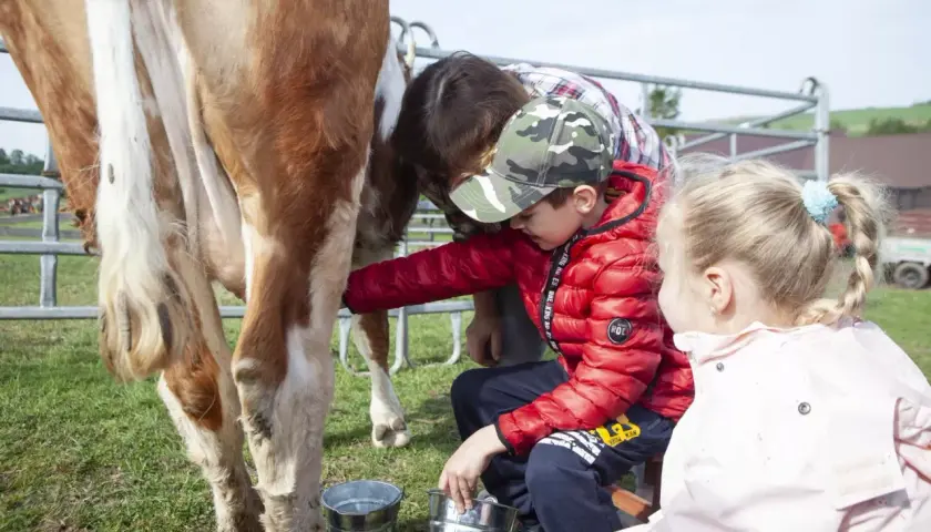 Zagroda edukacyjna: Więcej niż agroturystyka pełny przewodnik