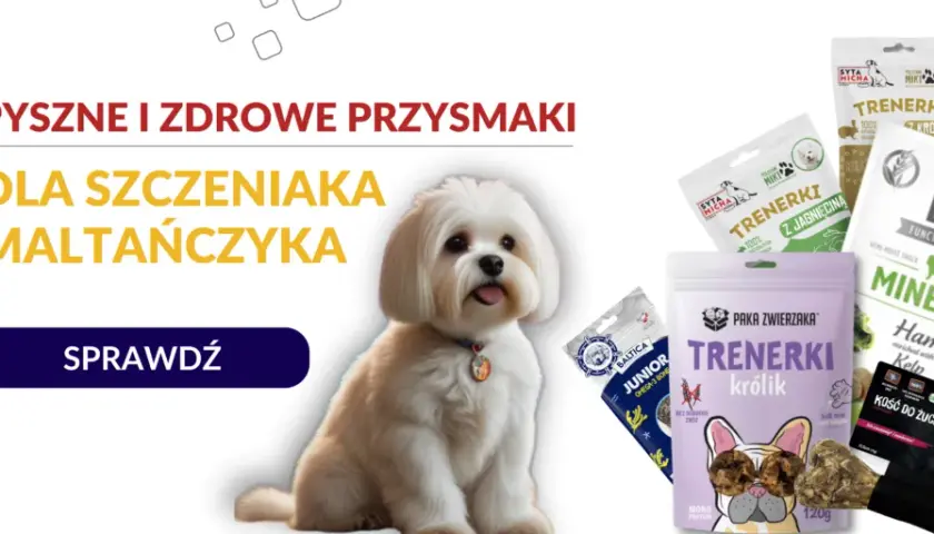 Jakie smakołyki dla szczeniaka? Wybierz mądrze! Porady eksperta