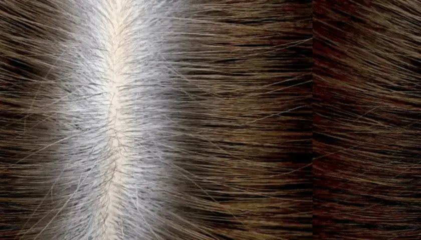 Cabello con raíces grises y puntas oscuras. La pregunta es: ¿cada cuánto tiempo se puede teñir el pelo para mantener este look?