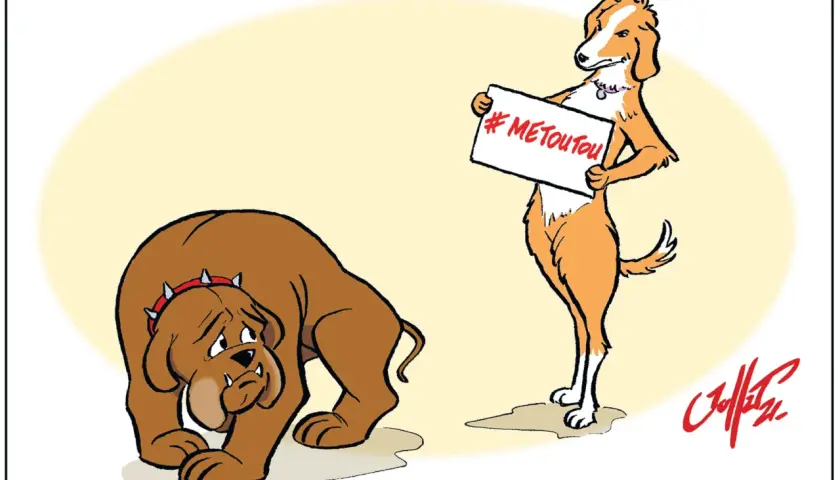 Un chien triste, peut-être en rut, regarde un autre chien tenant une pancarte "#METOUTOU". Une leçon sur comment calmer un chien en rute.