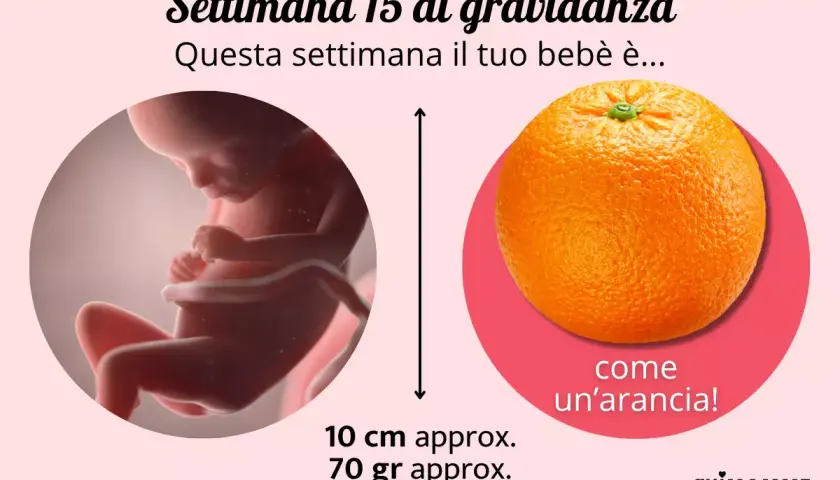 Fetus at 15 weeks gestation next to an orange, indicating size comparison.