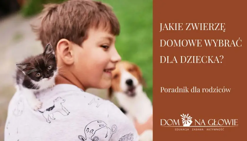 Chłopiec z kotkiem na ramieniu i psem w tle. Poradnik dla rodziców: jakie zwierzę domowe wybrać? Lista zwierząt.