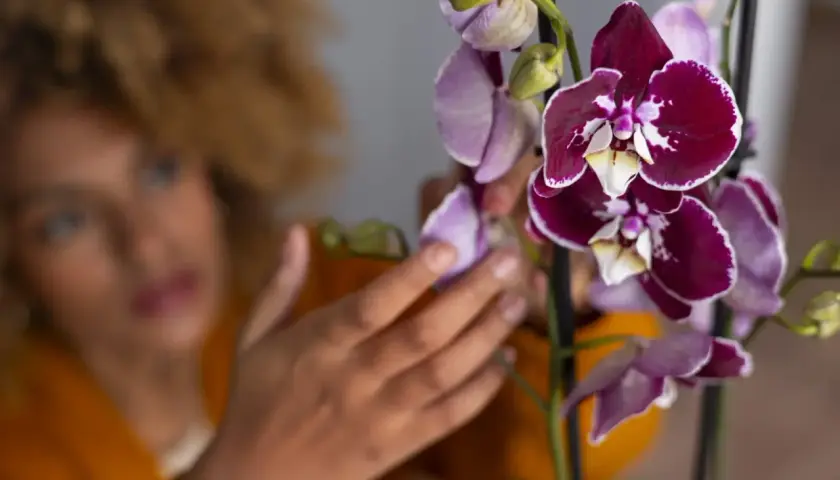 Mujer con cabello rizado revisa una orquídea morada y blanca, aprendiendo como podar una orquídea para su cuidado.