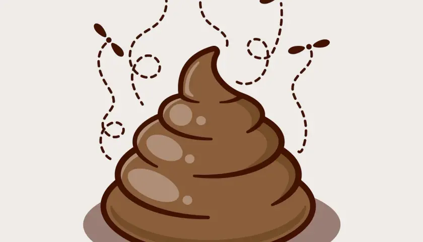 Koprofilia co to? Ilustracja przedstawia kupę z latającymi nad nią muchami, symbolizującą nieczystości.