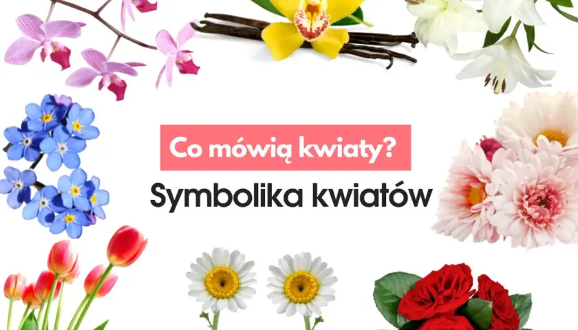 Jakich kwiatów nie dawać kobiecie: lista znaczeń i negatywnej symboliki