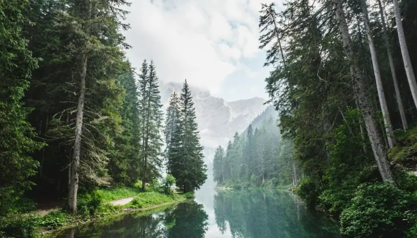 Ein ruhiger Bergsee spiegelt die majestätischen Bäume und Berge wider. Die Farbe Grün, die hier die Bedeutung von Natur, Ruhe und Erneuerung verkörpert, dominiert die Szene.