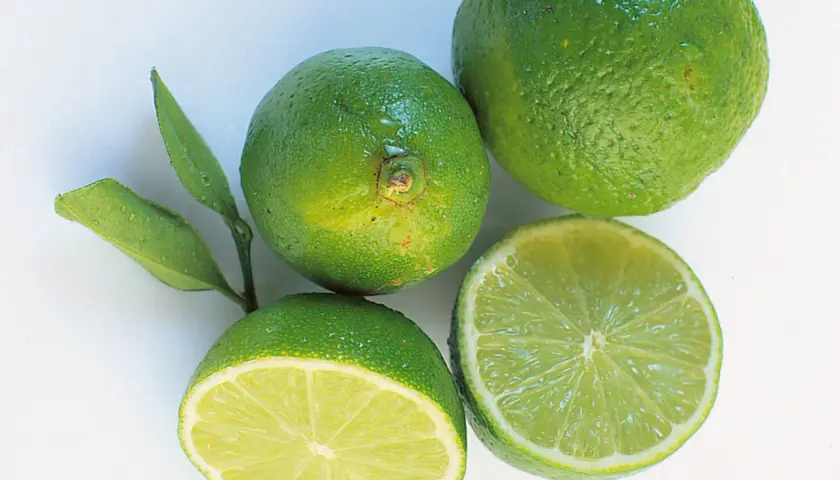 Frische Limetten, eine halbiert, bereit zum Einfrieren für Cocktails oder zum Kochen.