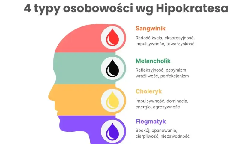 Profil głowy podzielony na 4 kolory, symbolizujące typy osobowości: sangwinik, melancholik, choleryk, flegmatyk.
