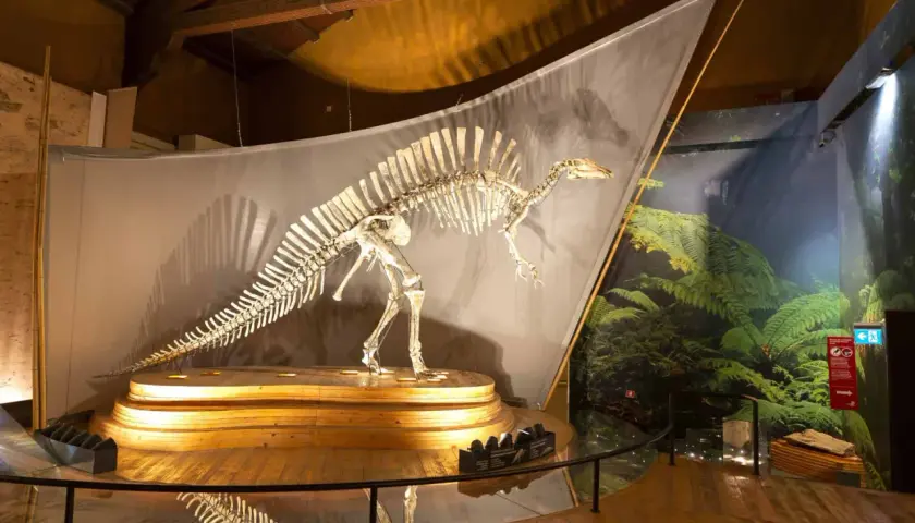 Squelette de dinosaure exposé dans un musée histoire naturelle Venise, sur fond de végétation luxuriante.