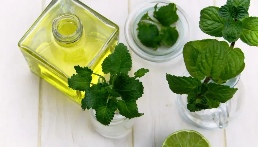 Aceite amarillo en botella, menta y lima, ingredientes para un enjuague bucal para llagas casero.