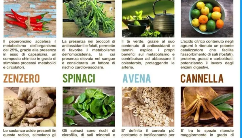 Peperoncino, zenzero e cannella: cibi che aiutano il metabolismo lento. Scopri cosa fare per stimolare il tuo corpo.