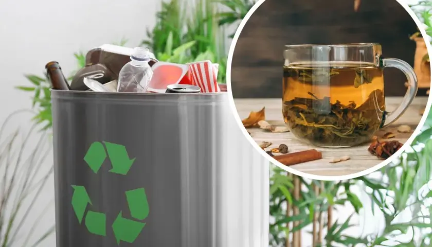 Kosz na śmieci z symbolem recyklingu i filiżanka herbaty. Zastanawiasz się, gdzie wyrzucać fusy po kawie?