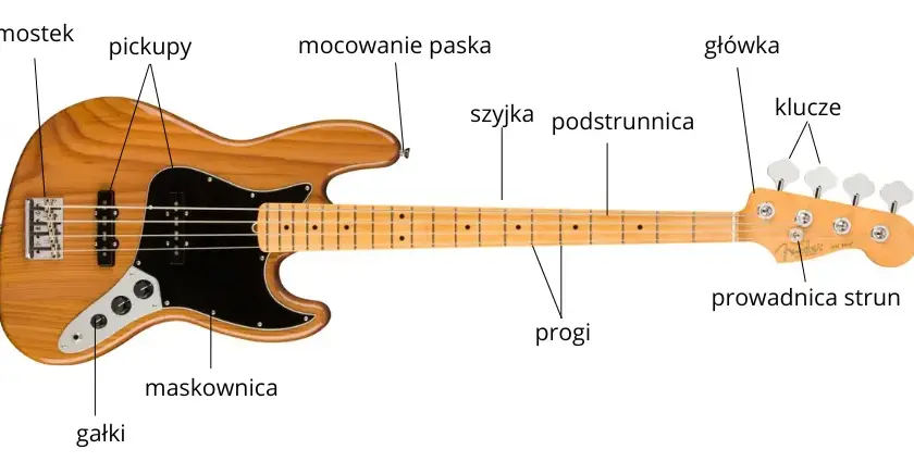 Gitara basowa - budowa, strojenie i podstawowe techniki gry