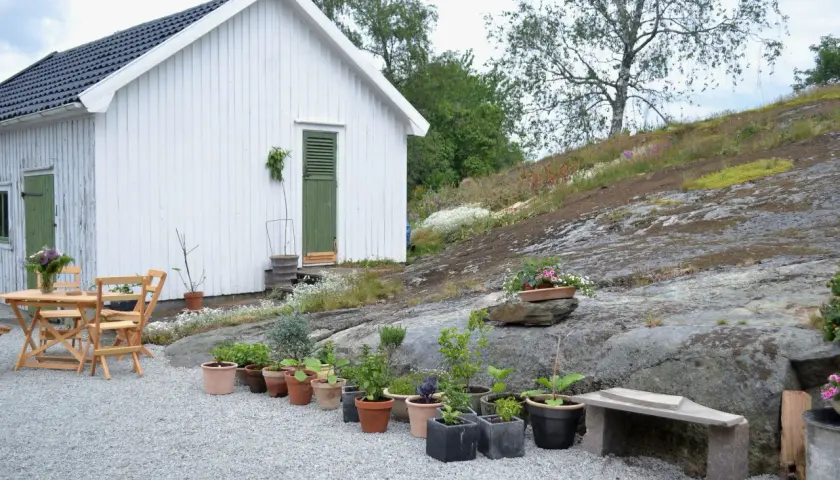 Vitt hus med gröna detaljer och ett bord med stolar. En grusgång leder fram till huset, omgiven av sten och växter.