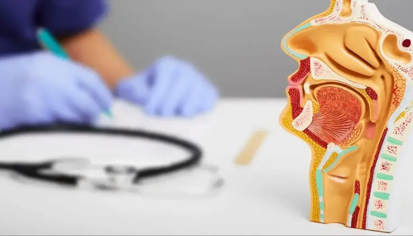 Model anatomiczny krtani, ukazujący jej budowę. W tle lekarz w rękawiczkach bada pacjenta, być może z podejrzeniem polipa w krtani.
