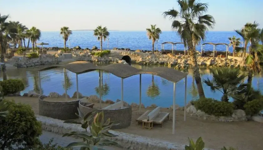 Relaks przy wodzie w Albatros Citadel Sahl Hasheesh. Palmy, kamieniste brzegi i zaciszne miejsca do odpoczynku.