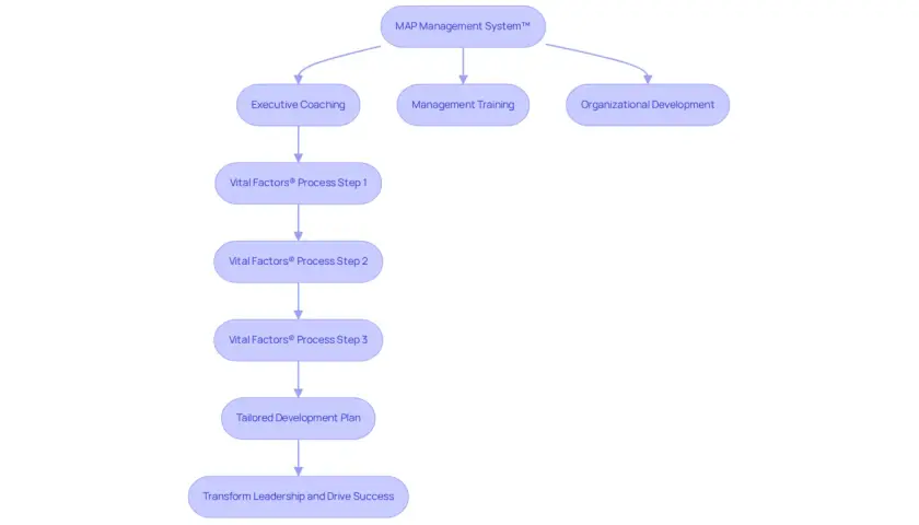 Flowchart of MAP Management System™ outlining Executive Coaching, Management Training, and Organizational Development as pathways to a Tailored Development Plan and ultimately, Transform Leadership and Drive Success. This is a CEO training program.