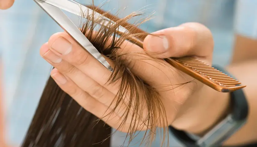 Manos cortando puntas abiertas con tijeras y peine. Pregúntate cada cuanto cortar el pelo para mantenerlo sano.